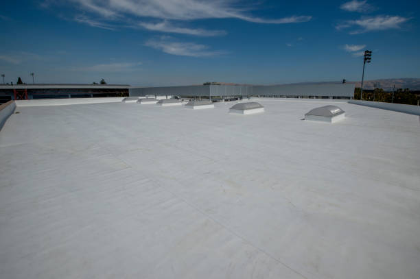 Best Roof Insulation Installation  in Wyboo, SC