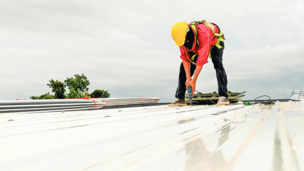 Best Chimney Flashing Repair  in Wyboo, SC