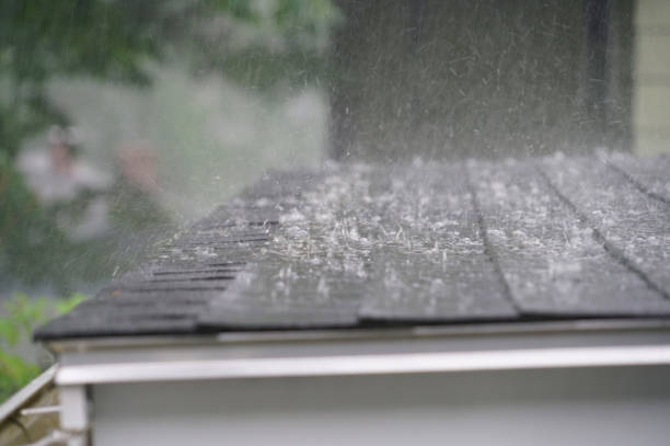 Trusted Wyboo, SC Roofing Service Experts